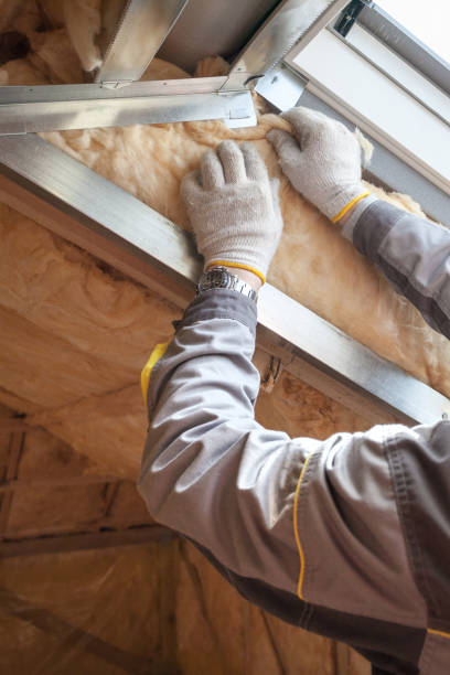 Best Specialized Insulation Services in Versailles, OH