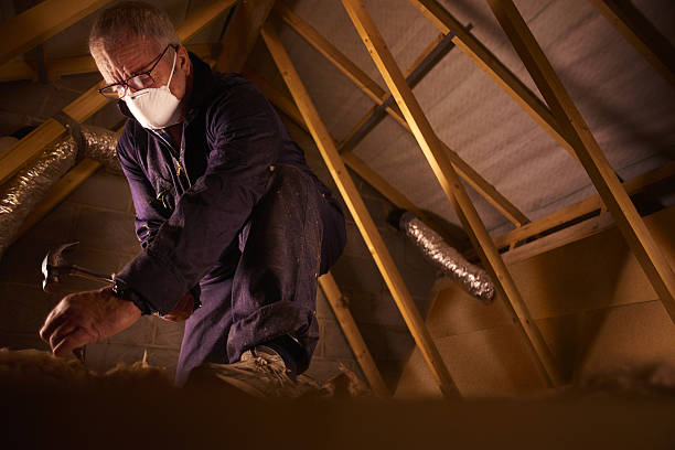 Best Residential Insulation in Versailles, OH